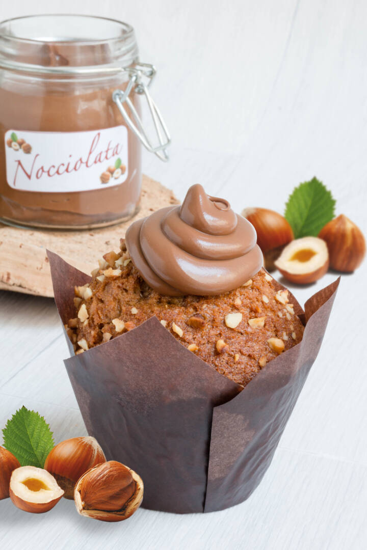 NOCCIOLATA APPLICATION (1)